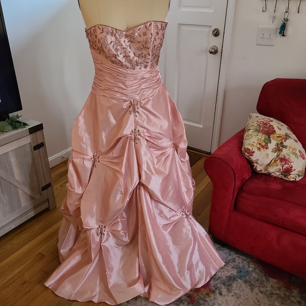Blush Dress size #13